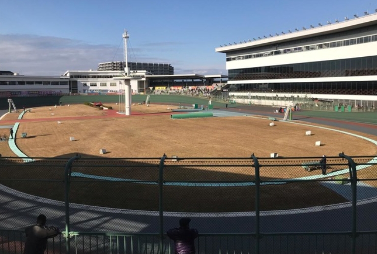 岸和田競輪場のバンク