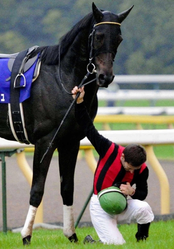 天覧レース【天皇賞秋2012エイシンフラッシュ&ミルコデムーロ】